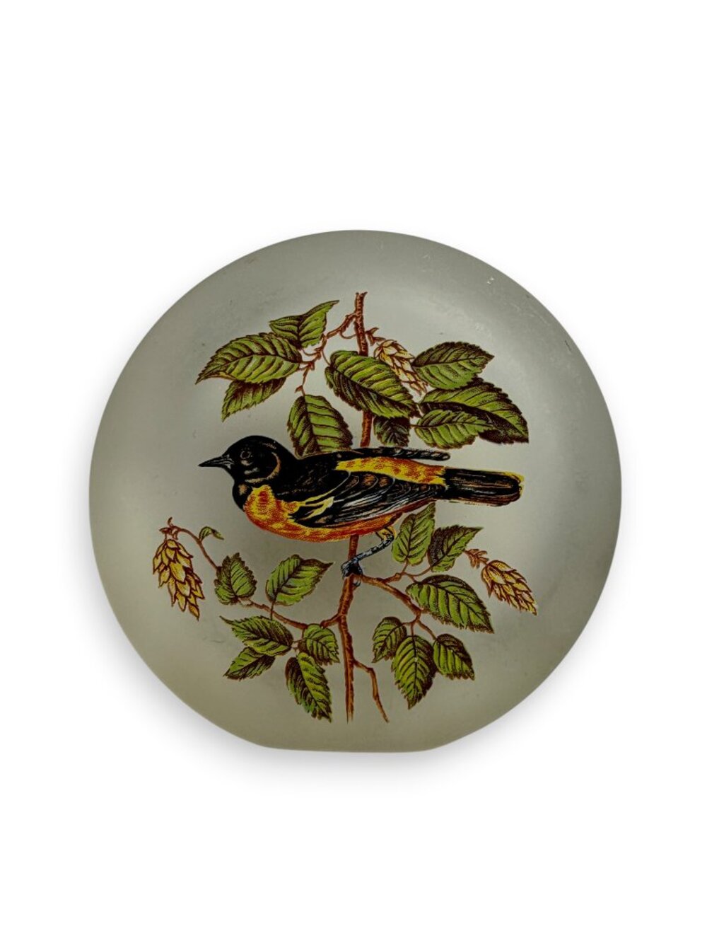 Art Glass Oriole Suncatcher Paperweight Bird Lovers Round Heavy Vintage 3.5"